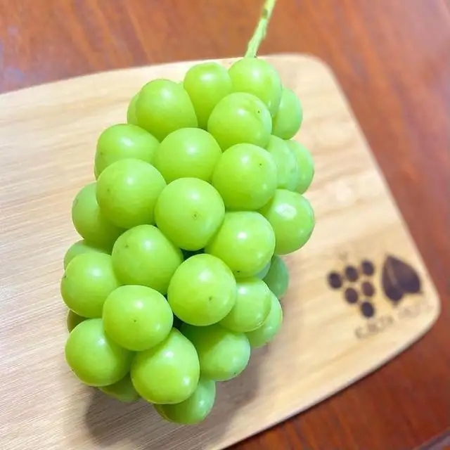 夏季摘葡萄要了解葡萄都有哪些种类